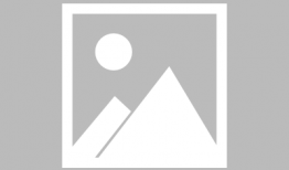 动漫cc,穿越次元，探寻无限可能